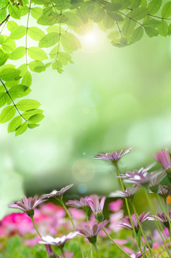 Natura